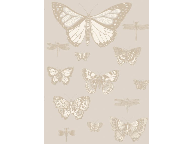 Cole & Son WP: Whimsical Butterflies & Dragonflies 103/15064.CS.0 Grey