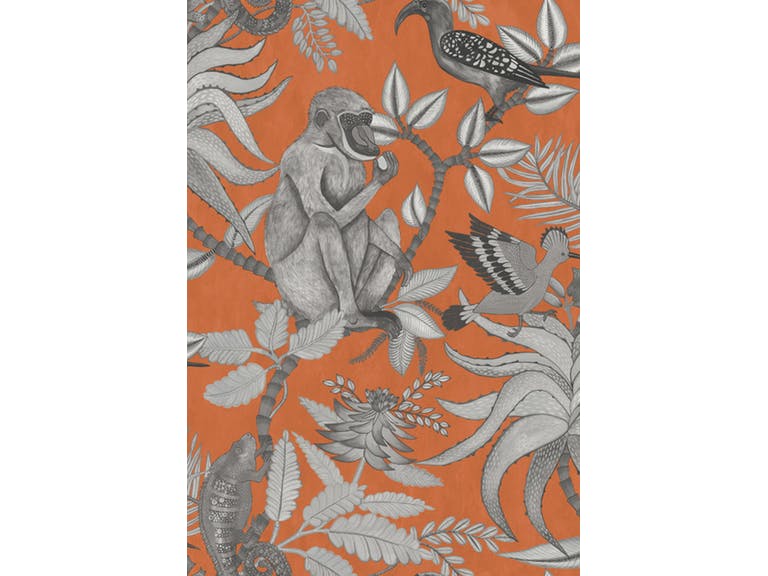 Cole & Son WP: Ardmore Savuti 109/1001.CS.0 Orange