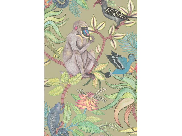 Cole & Son WP: Ardmore Savuti 109/1005.CS.0 Khaki Multi