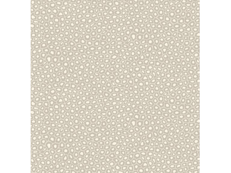 Cole & Son WP: Ardmore Senzo Spot 109/6030.CS.0 Stone & White