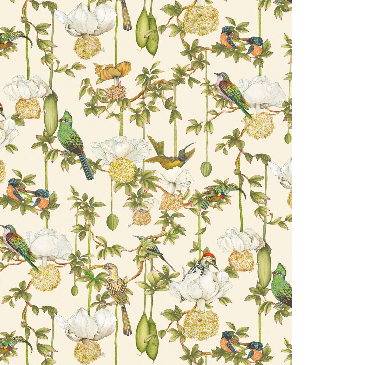 COLE & SON BAOBOB BOTANICA STONE