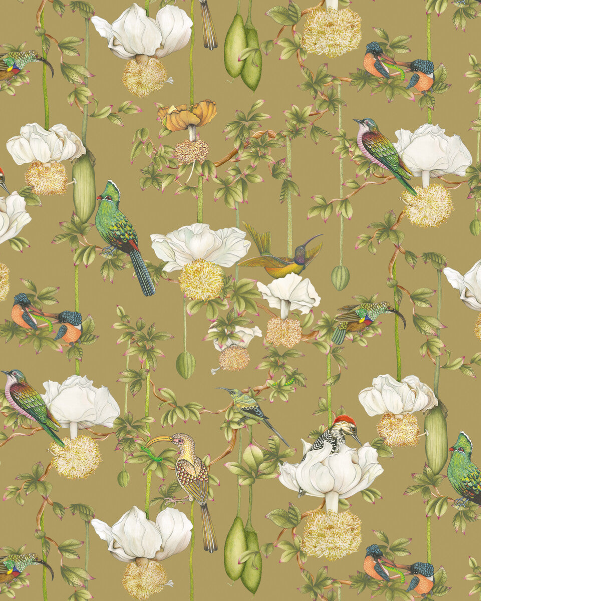 COLE & SON BAOBAB BOTANICA SAFARI