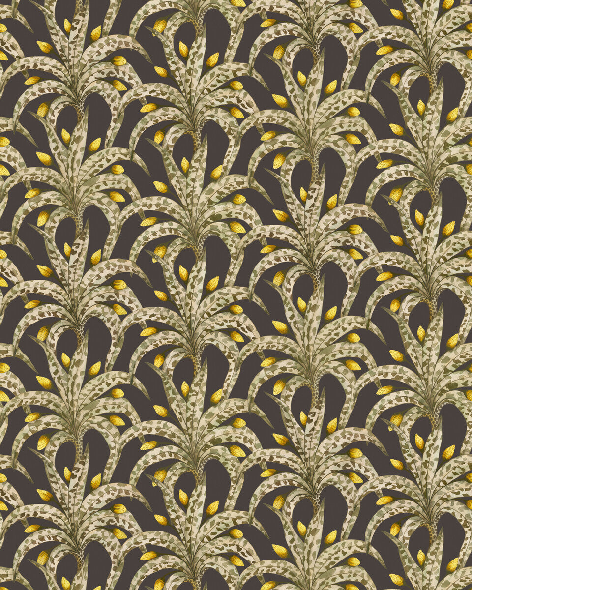 COLE & SON AFRIKA DAMASK ONYX