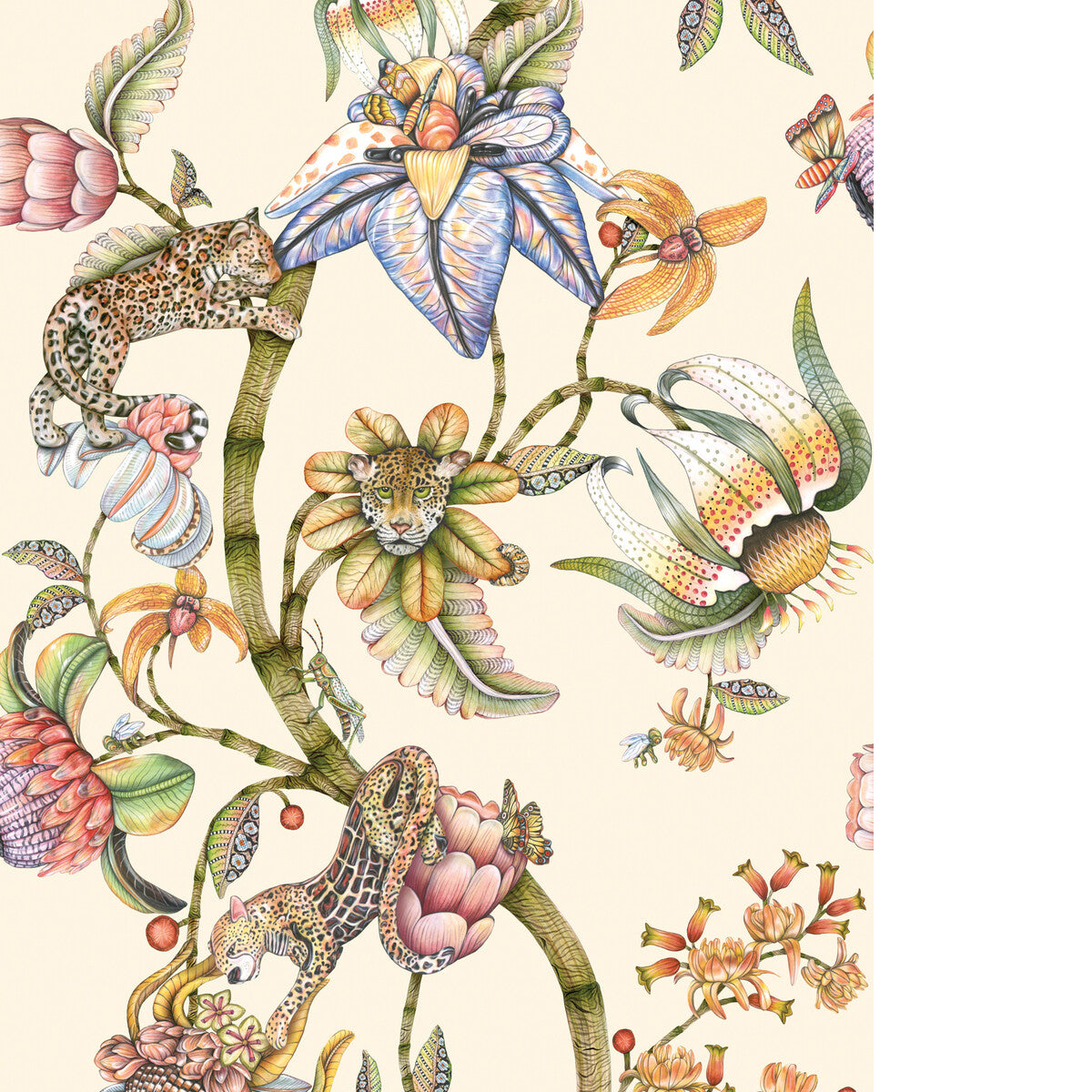 COLE & SON PROTEA PANTHERA STONE