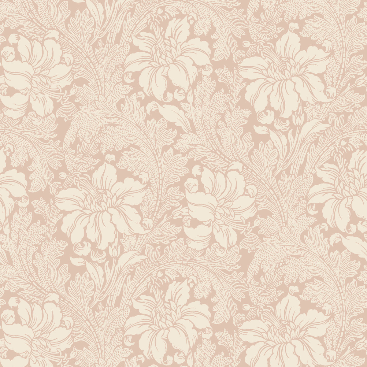 Schumacher: Acanthus Garden 2009 Blush