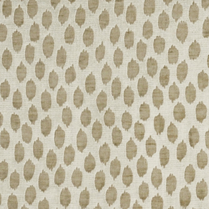 Scalamandre: Savanna CL 0004 26806 White Brown