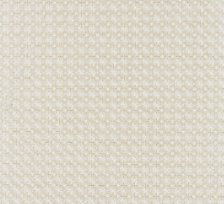 Scalamandre: Floret Embroidery SC 0001 27133 Champagne