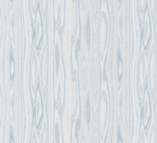 Scalamandre: Faux Bois Weave SC 0003 27142 Blue Ice
