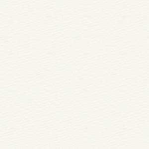 Windsor Smith for Kravet Design: Luana 31731.1.0 Pearl