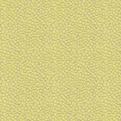 Kravet: Polka Dot Plush 32972.323.0 Wasabi