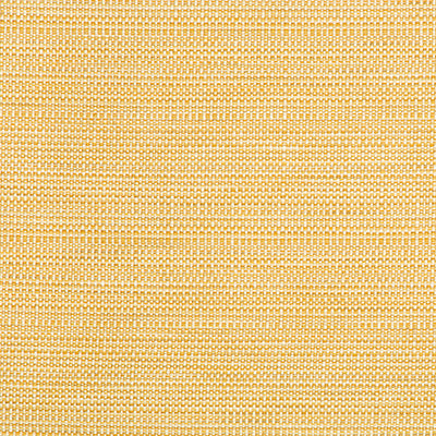 Kravet: 34627.416.0