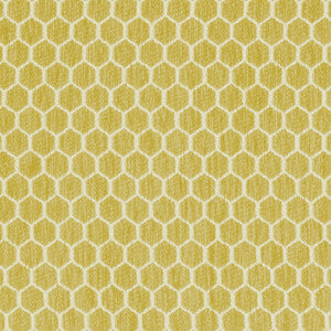 Kravet Design: 36081.314.0