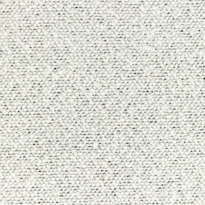 Kravet: Cosmic Plush 36329.1.0 Ivory Noir