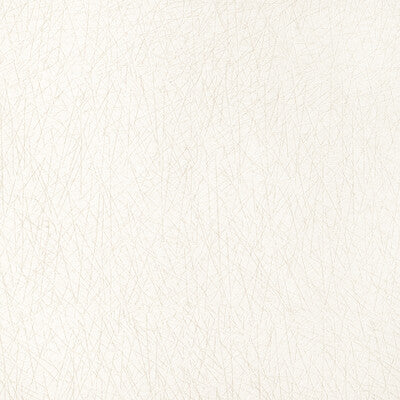 Candice Olson for Kravet: Pick Up Sticks 36813.1.0 Ivory