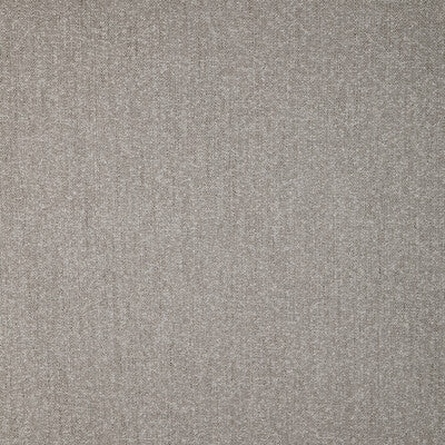 Candice Olson for Kravet: Subtle Boucle 36835.1101.0 Storm