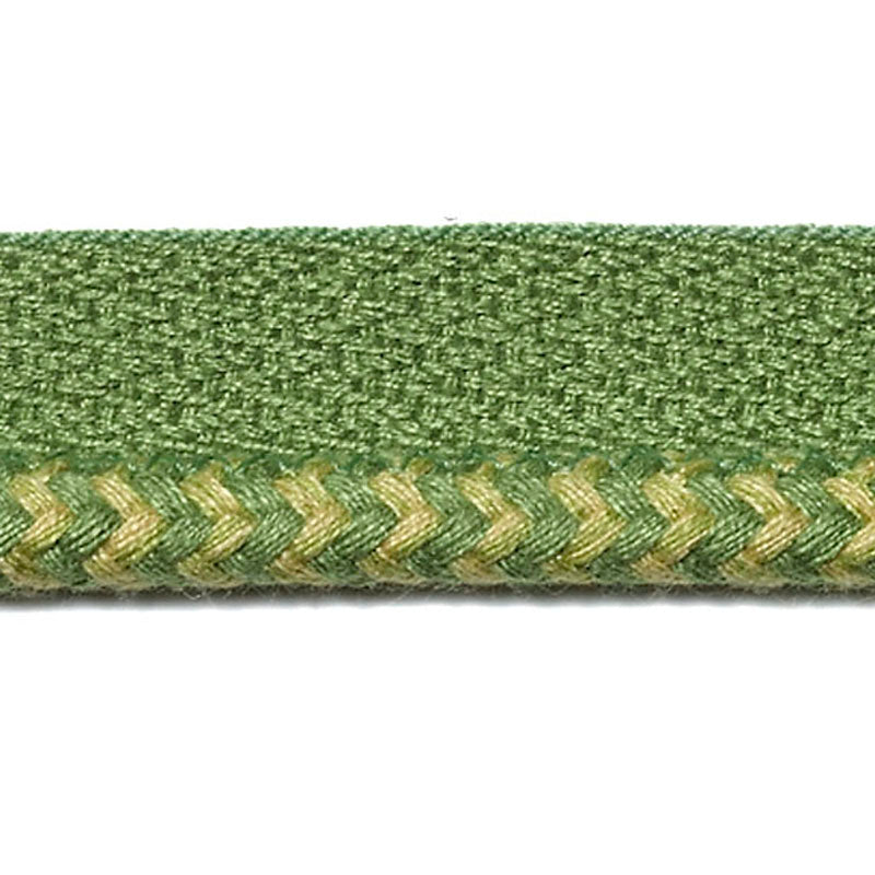 Duralee: Pavilion Indoor/Outdoor Trim 7318-597 Grass