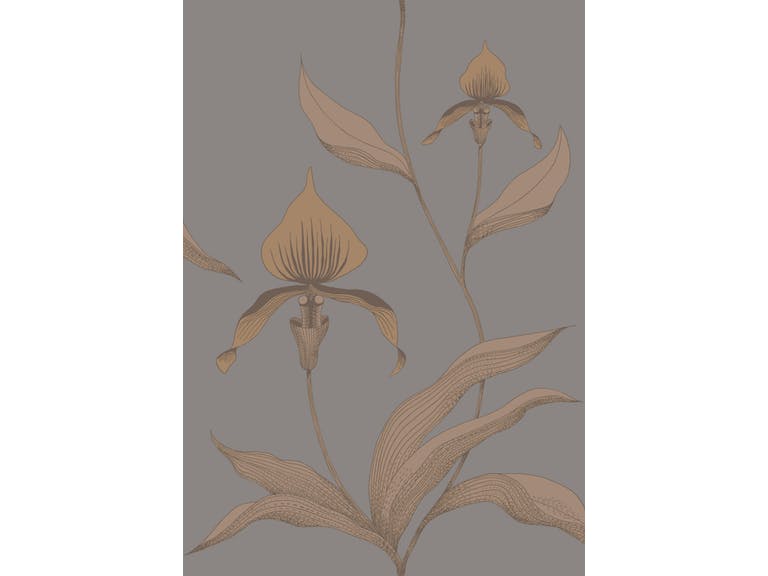 Cole & Son WP: Contemporary Restyled Orchid 95/10056.CS.0 Bronze & Slate