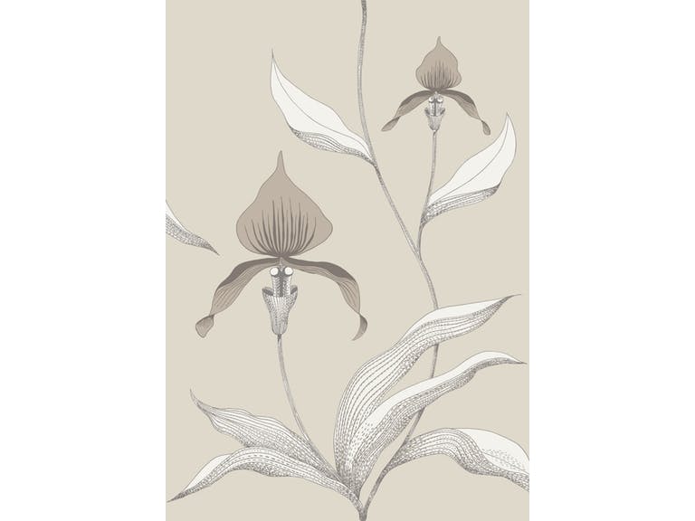 Cole & Son WP: Contemporary Restyled Orchid 95/10058.CS.0 Linen & White