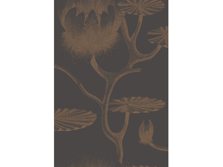 Cole & Son WP: Contemporary Restyled Lily 95/4021.CS.0 Black/Bronze