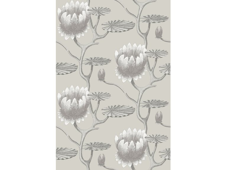 Cole & Son WP: Contemporary Restyled Summer Lily 95/4025.CS.0 Taupe/White