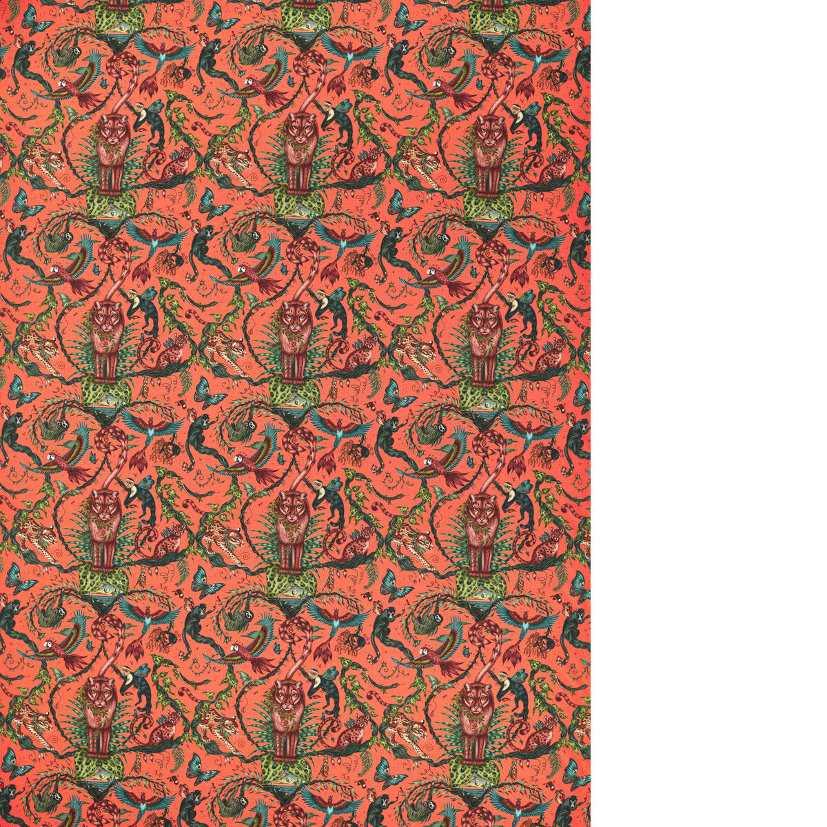 CLARKE AND CLARKE BOSQUE DREAMS CORAL
