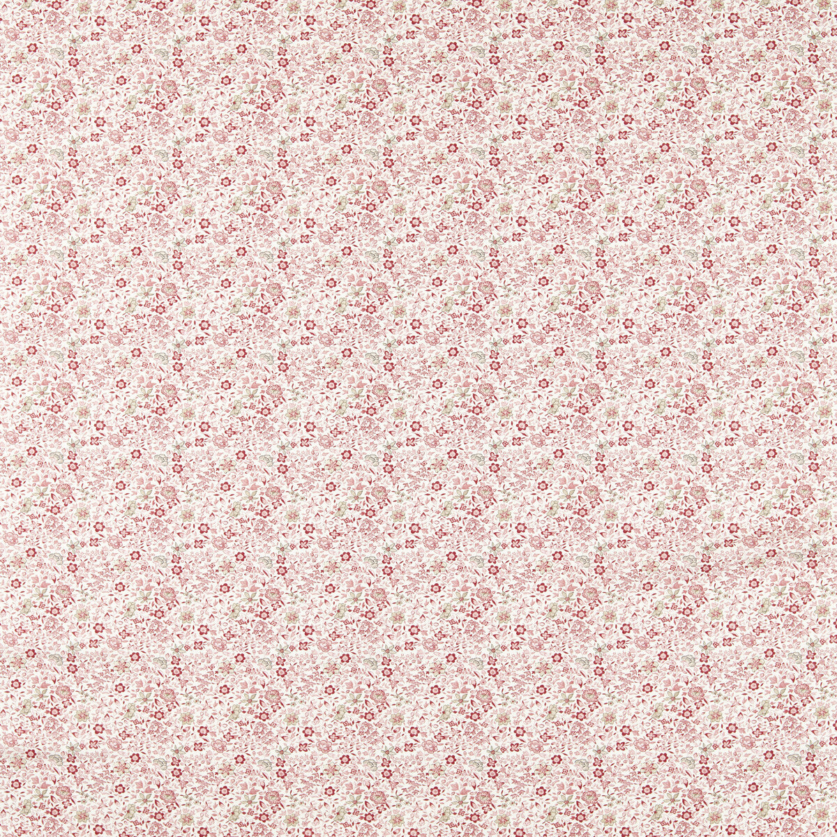 CLARKE AND CLARKE GAMTHI BLUSH