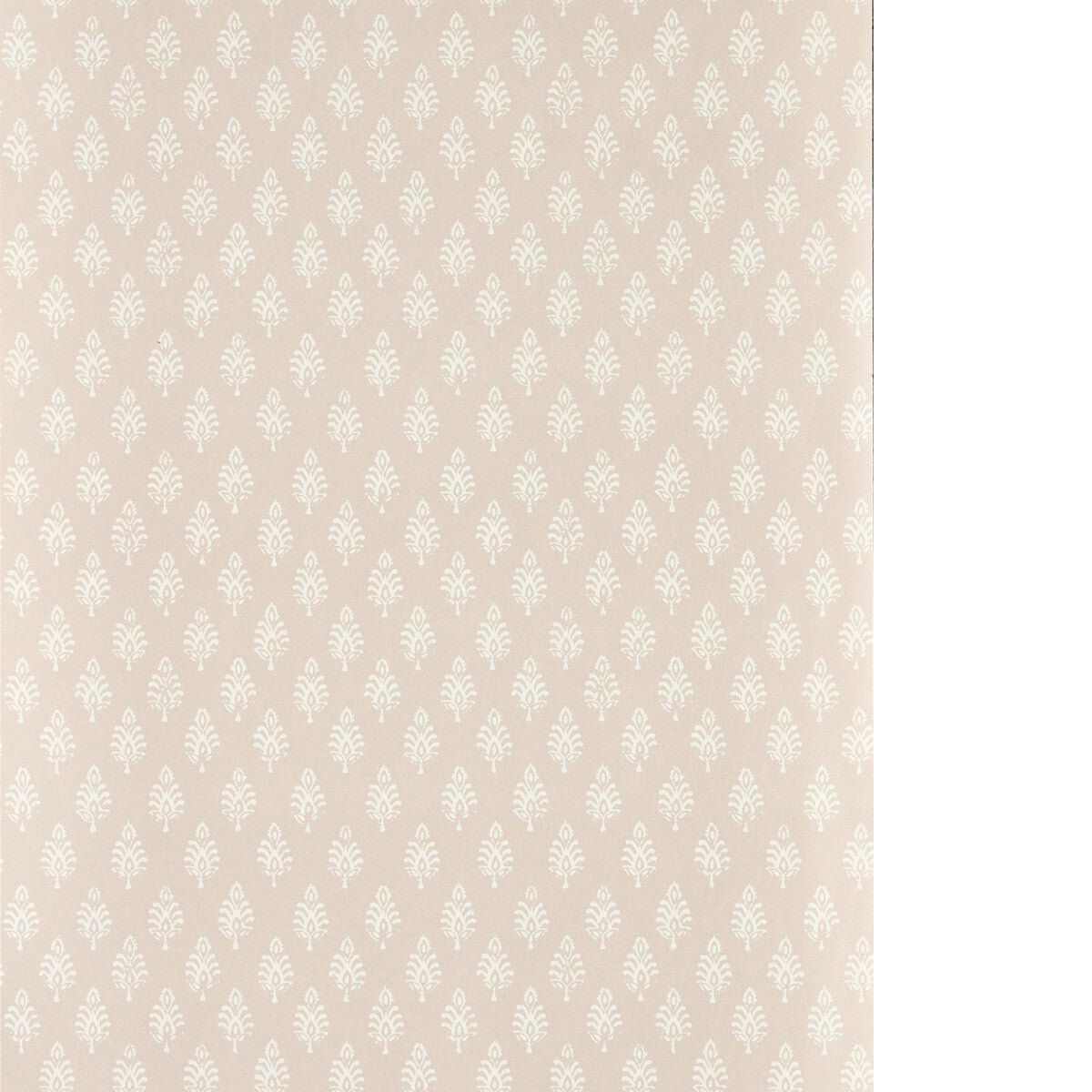 CLARKE AND CLARKE NANDANA BLUSH WP