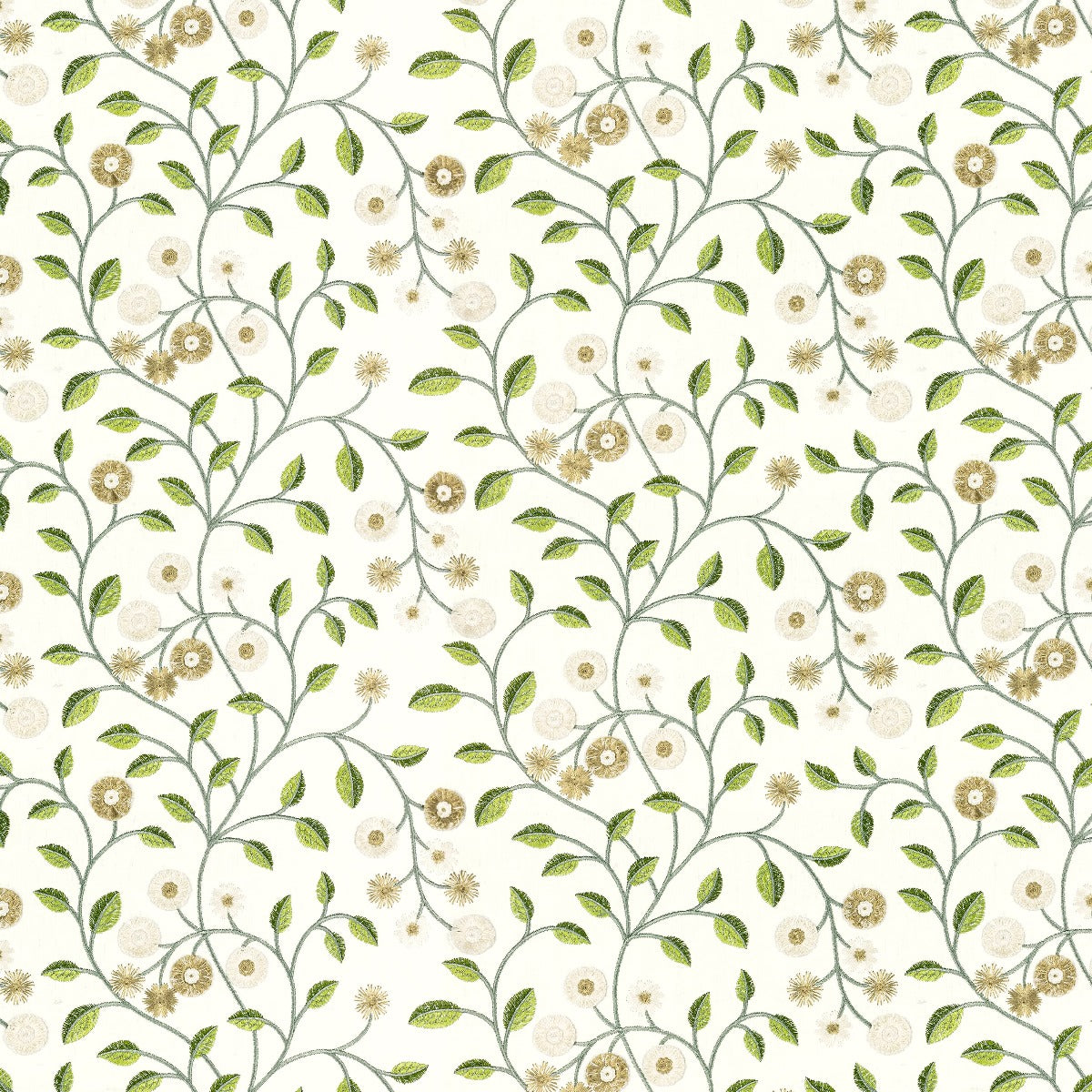 Stout: Alma 1 Avocado