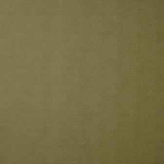 Maxwell: Bilbao #55 Fennel