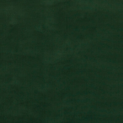 GP&J Baker: Baker House Velvet BF10838.794.0 Forest