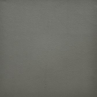 Maxwell: Bewitched #253 Fossil