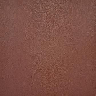 Maxwell: Bewitched #264 Sedona