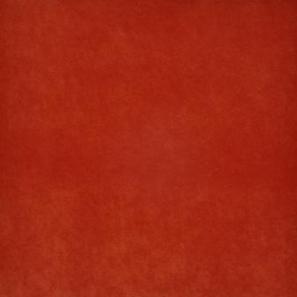 Maxwell: CLARK # # 727 CORAL