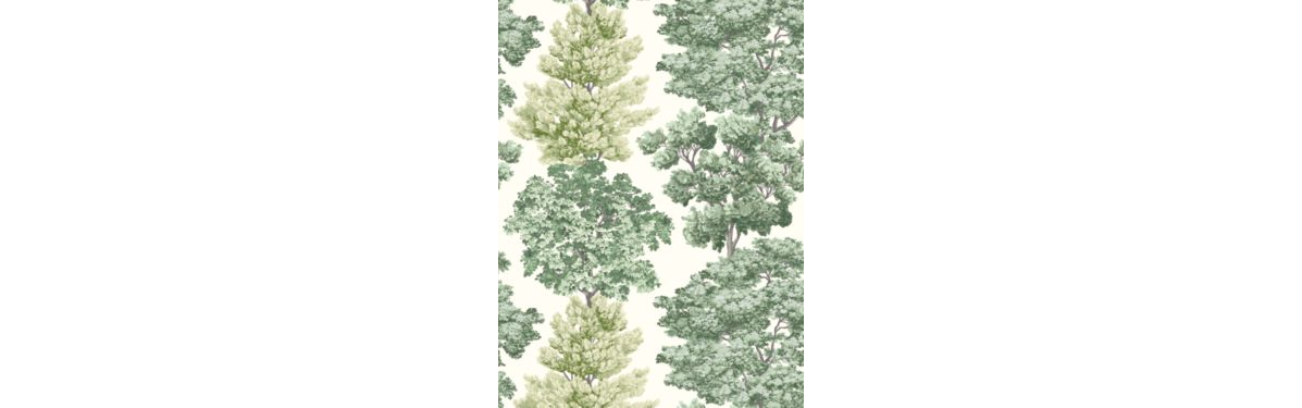 Scalamandre: Central Park Wallpaper WW WP88583D 0001 Green