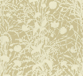 Grey Watkins for Scalamandre: Wildflower GW 0001 16623 Oat