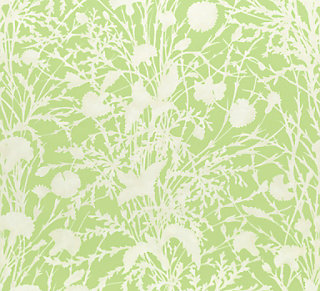 Grey Watkins for Scalamandre: Wildflower GW 0003 16623 Grasshopper