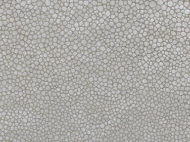 Calvin Klein for Kravet: L-SINAR.SILVER.0