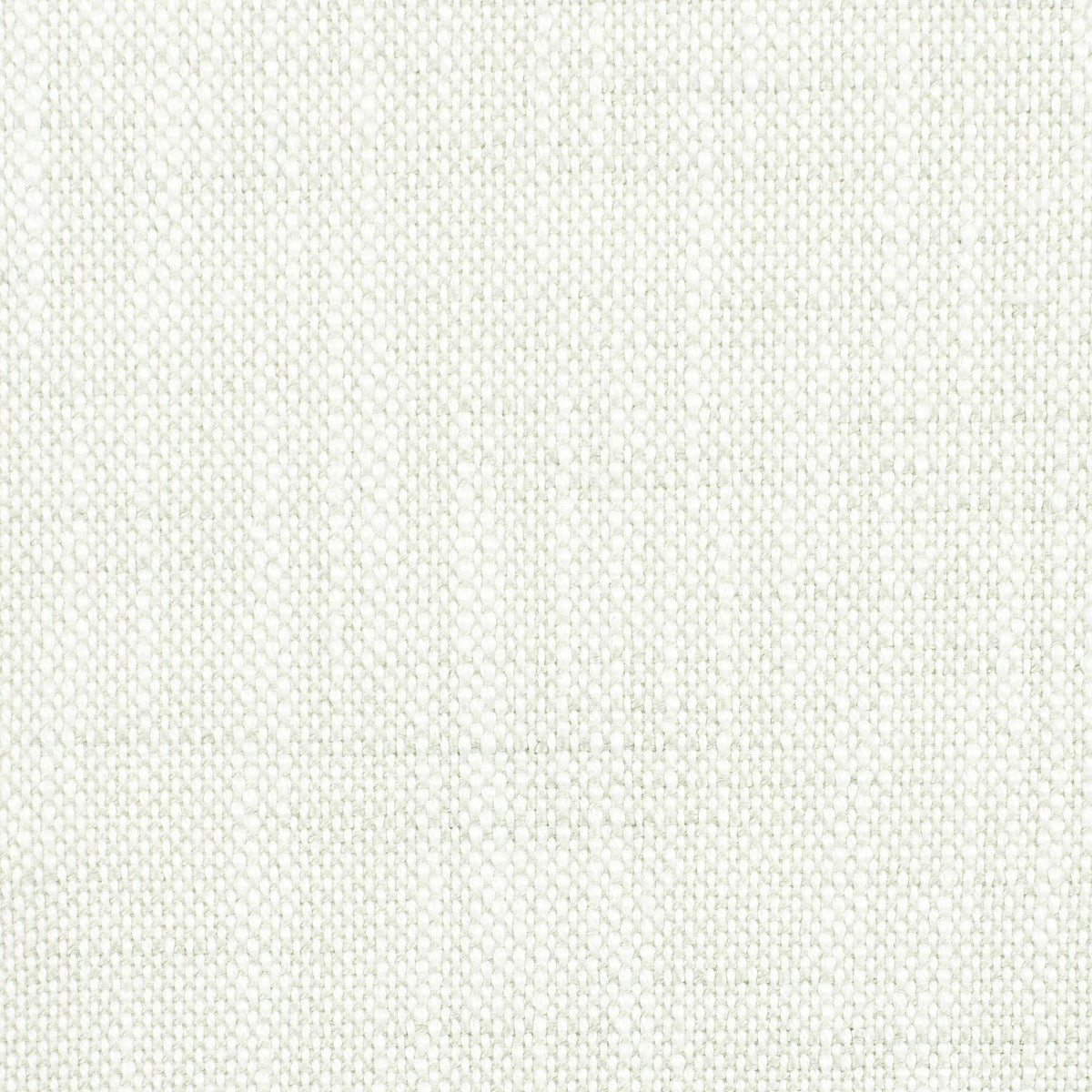 Victoria Larson for Stout: Obsidian 7 Toast