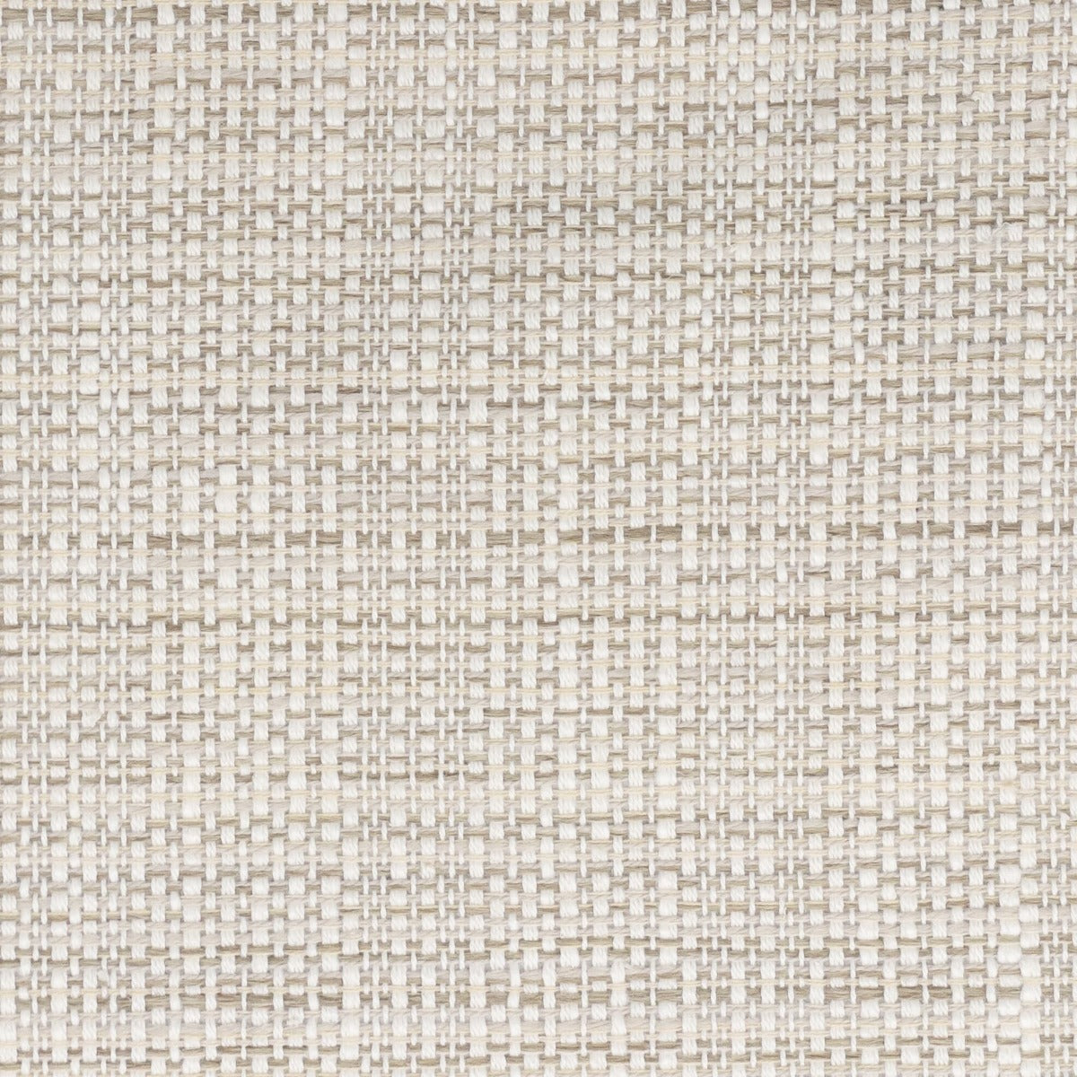 Stout: Parody 1 Mushroom