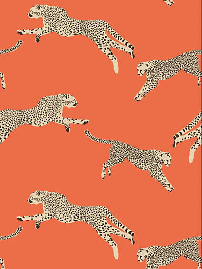 Scalamandre: Leaping Cheetah SC 0002 WP88449 Clementine