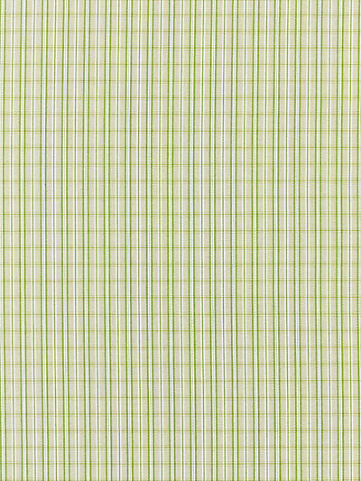 Scalamandre: Check Please Outdoor SC 0003 27318 Fern