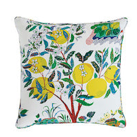 Schumacher: Citrus Garden I/O 22" Pillow SO17733006 Primary