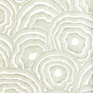 Corey Damon Jenkins for Kravet: Panache WP W3823.123.0 Leaf