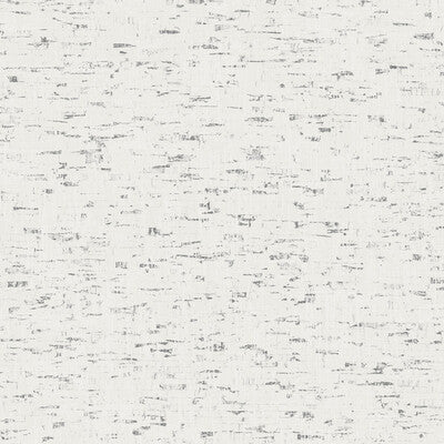Winfield Thybony for Kravet: Iberian Cork WP WBP10608.WT.0 Harbor Grey
