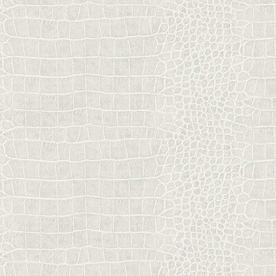 Winfield Thybony for Kravet: Kenya WP WBP11107.WT.0 Kahki