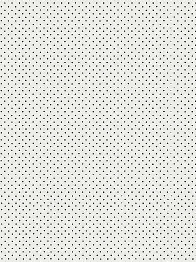 Hinson for Scalamandre: Lee WP WHN 000E P0665 Black on White