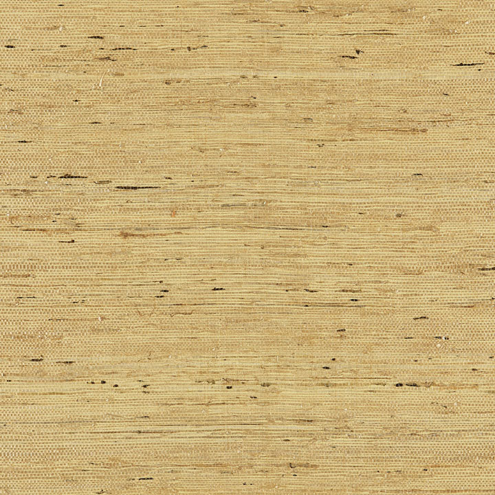 Scalamandre: Arrowroot Weave SC 0003 WP88344 Honey