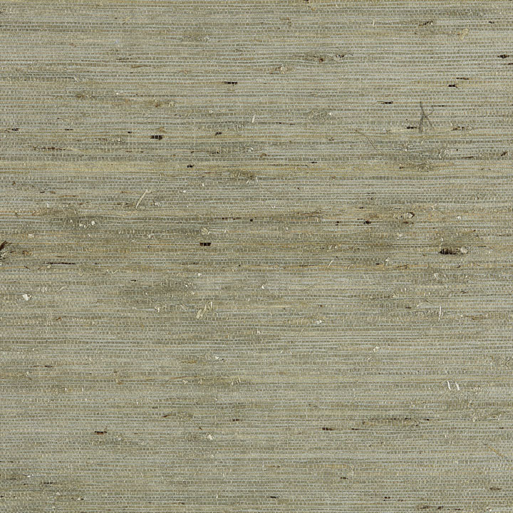 Scalamandre: Arrowroot Weave SC 0004 WP88344 Water