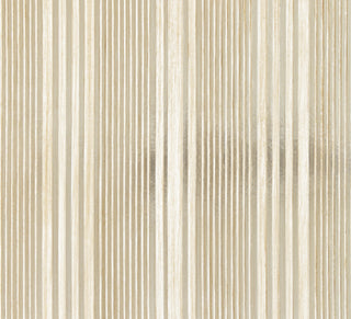 Scalamandre: Pacific Stripe SC 0002 WP88367 Champagne