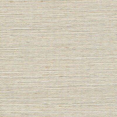 Winfield Thybony for Kravet: Metallic Sisal WP WSS4503.WT.0 Parchment